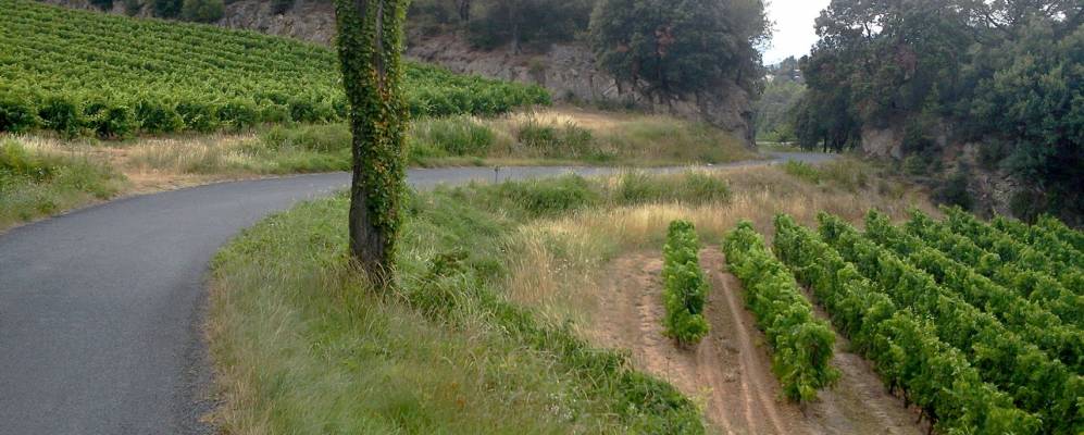 Фотография Палажа