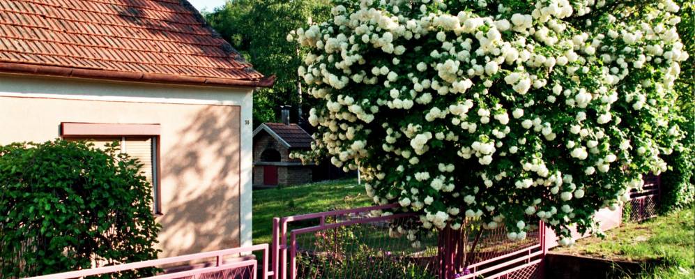 Фотография Врдника