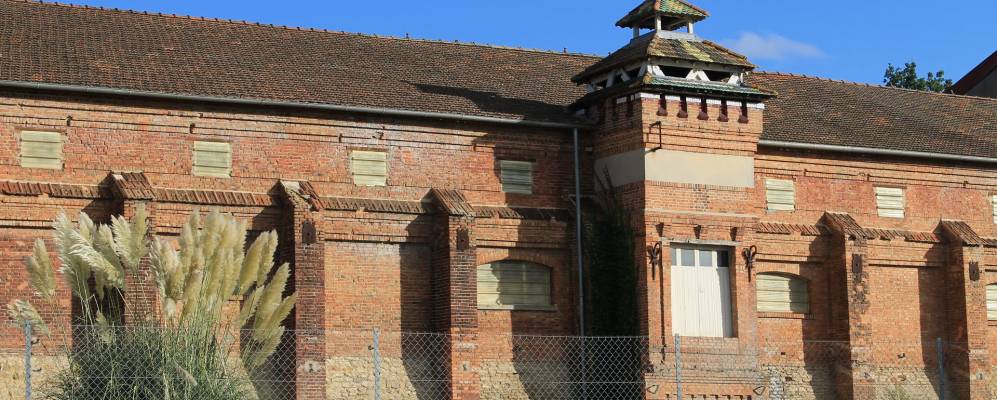 
            Фотография Аржанса