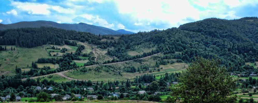 
            Фотография Липы