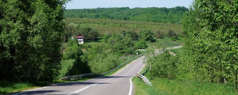 Фотография Зубари