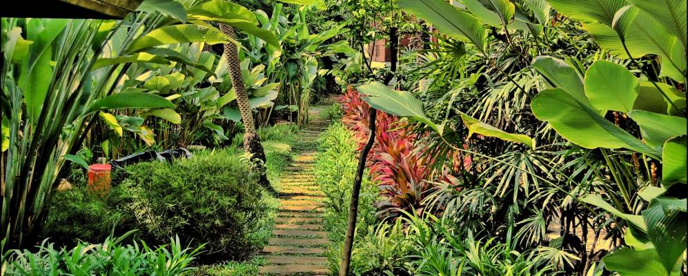 
            Фотография Чавенг Бич