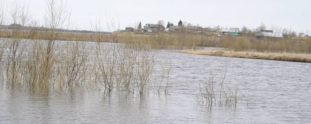 
            Фотография деревни Кеницы