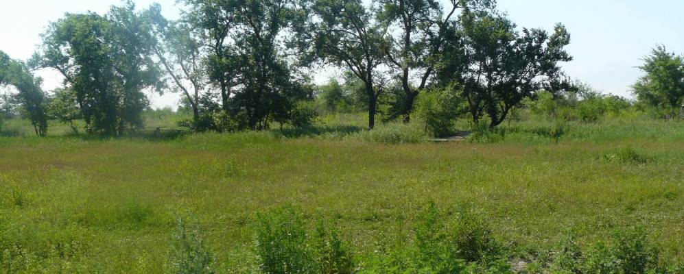 
            Фотография Люблино