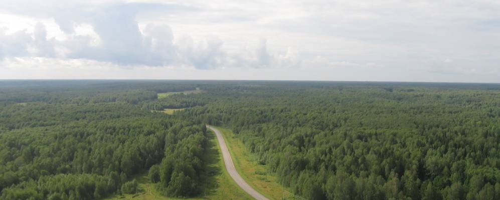 
            Фотография Леботера