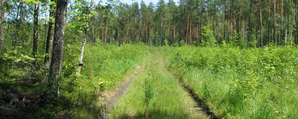 
            Фотография Гаврилково