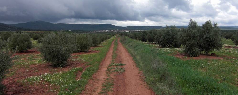 
            Фотография Монтисона