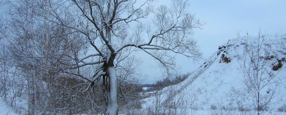 
            Фотография Никиткино