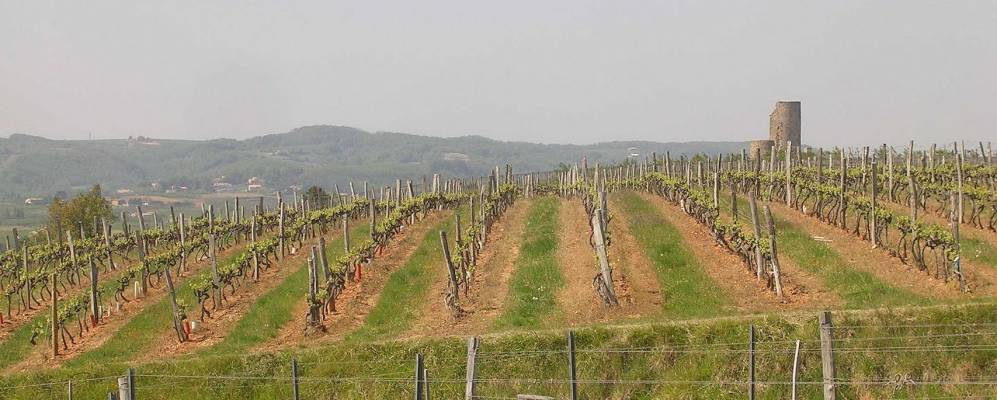 
            Фотография Меркюроль