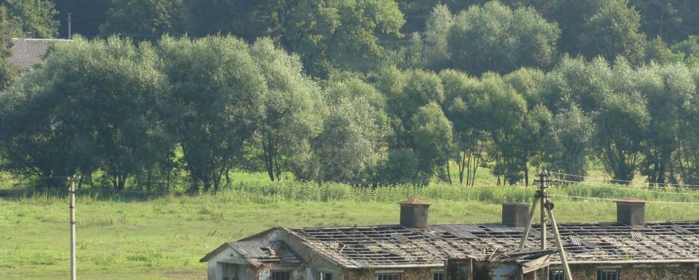 
            Фотография Бушкалика