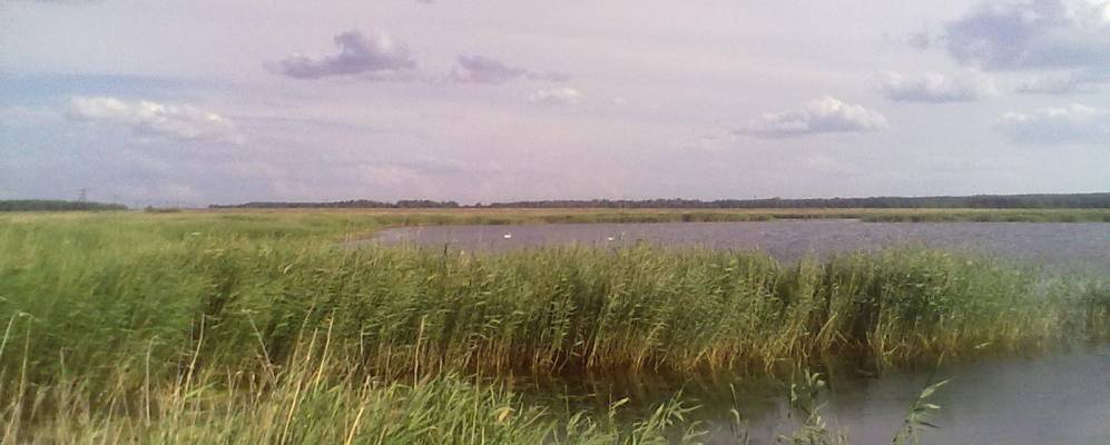 
            Фотография Журавлево