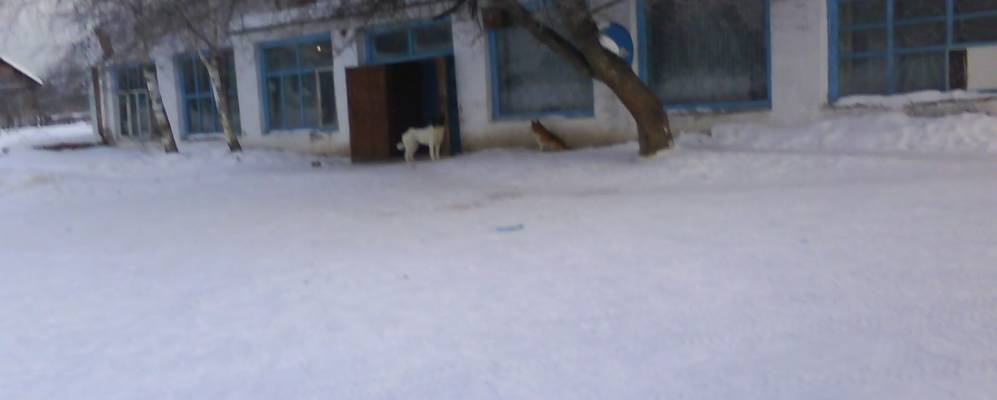 
            Фотография Заборья