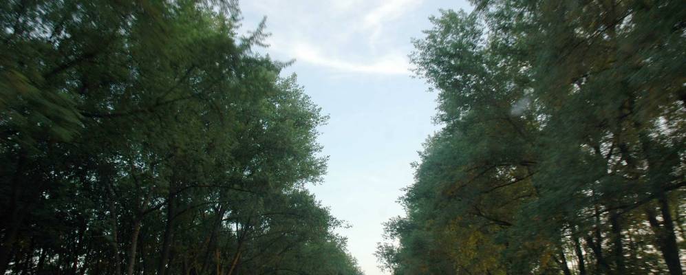 
            Фотография Любомирки