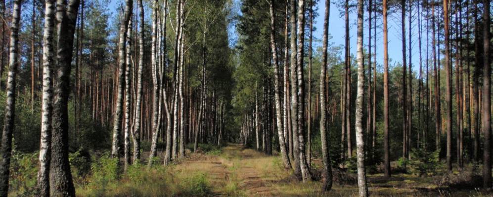 
            Фотография Татарщины