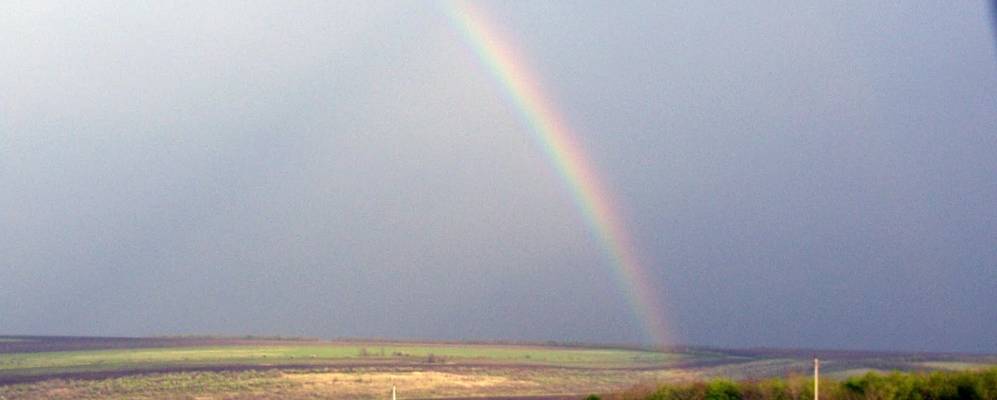 
            Фотография Концебы