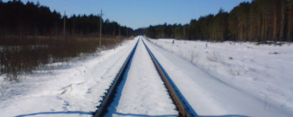 Фотография Сосенки