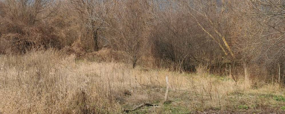 
            Фотография Тюменевки