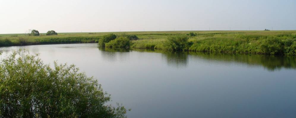 
            Фотография Решительного