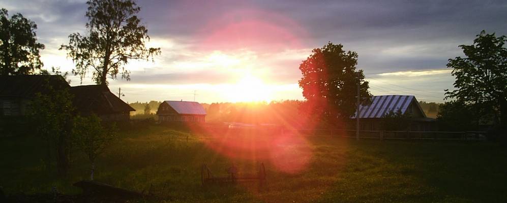 
            Фотография Выдрино