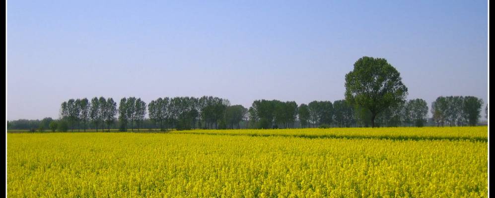 
            Фотография Торревеккия Пиы