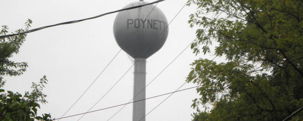 
            Фотография Пойнтта