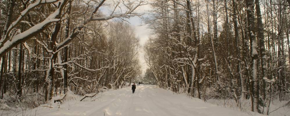 Фотография Заозерья