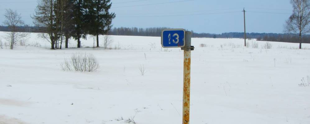 
            Фотография Лядо