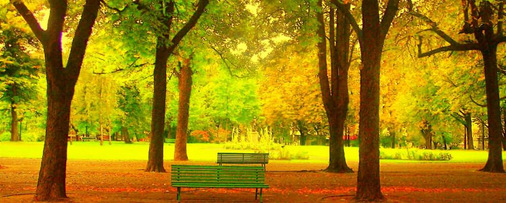 
            Фотография Вижанелло