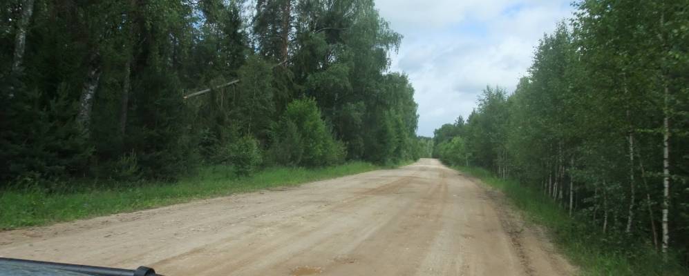 Фотография Селышек