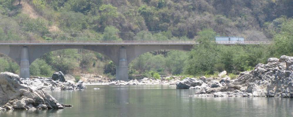 
            Фотография Тиеера Колорады