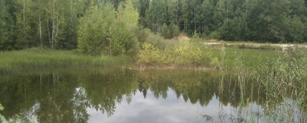 
            Фотография деревни Тарасики