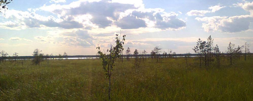 
            Фотография Селища