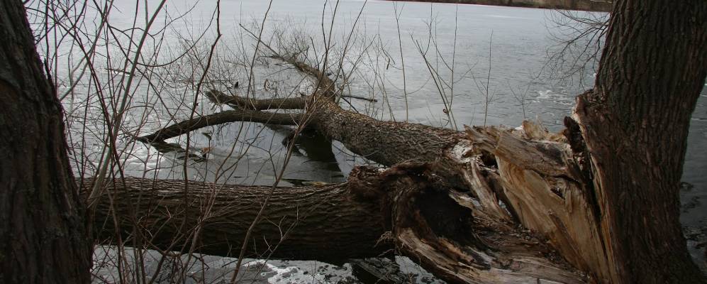 
            Фотография Градского