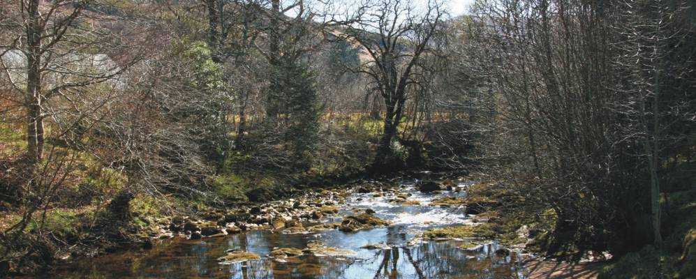 
            Фотография Стронтиана