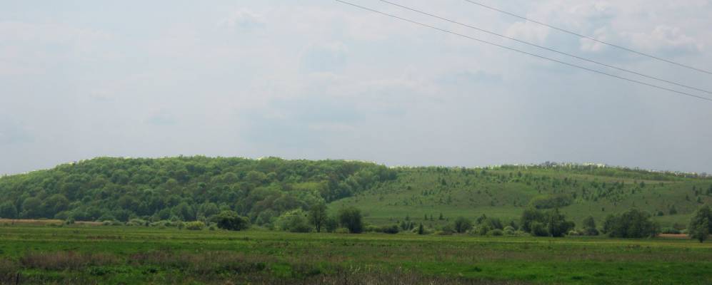 
            Фотография Песков