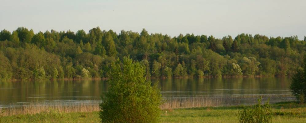 
            Фотография Рыбаково