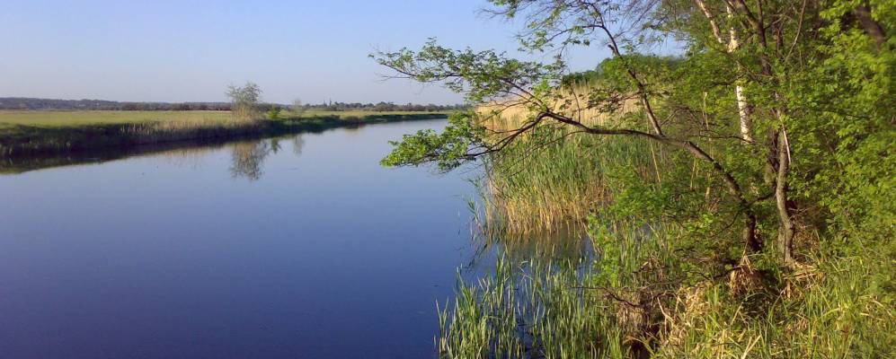 
            Фотография Кохановки