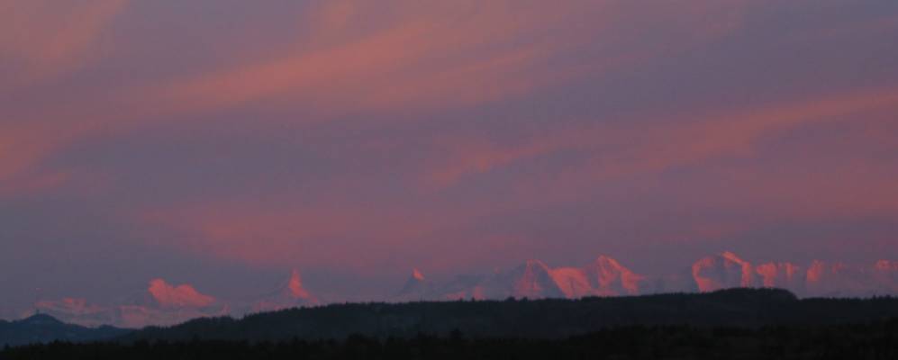 
            Фотография Гроссаффольтерна