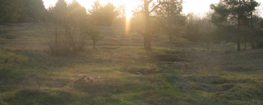 
            Фотография Доброгощи