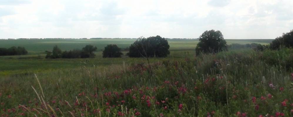 
            Фотография Бородаевки