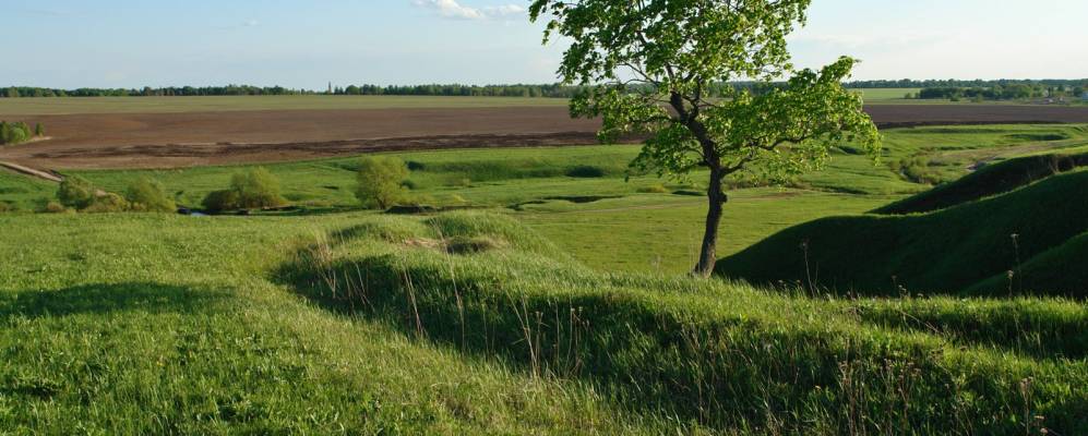 
            Фотография Данилово