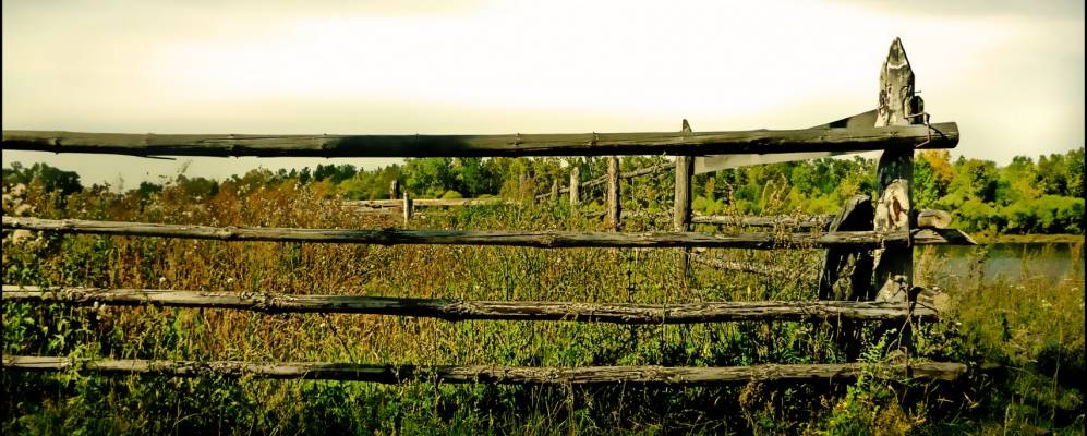 
            Фотография Введенщины