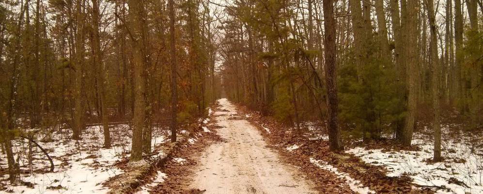 
            Фотография Президеншиал Лейкс Истейтса