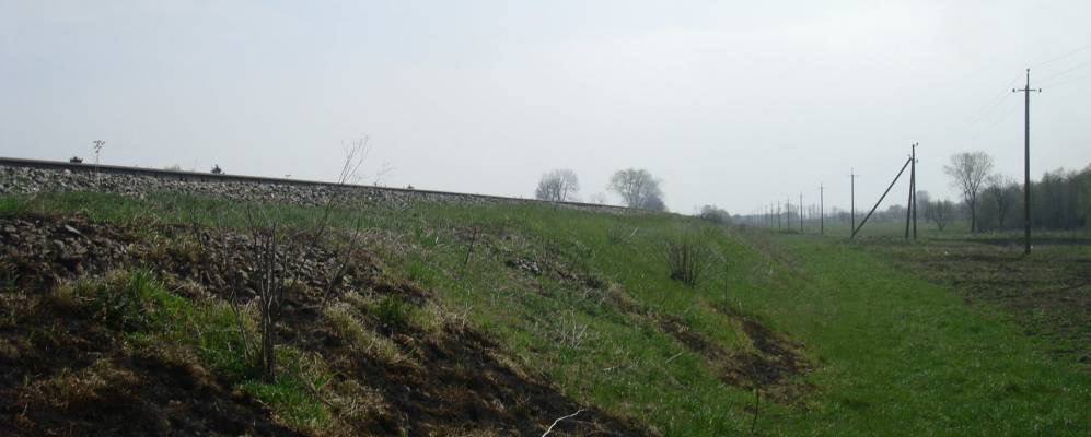 
            Фотография Малого Чернятина