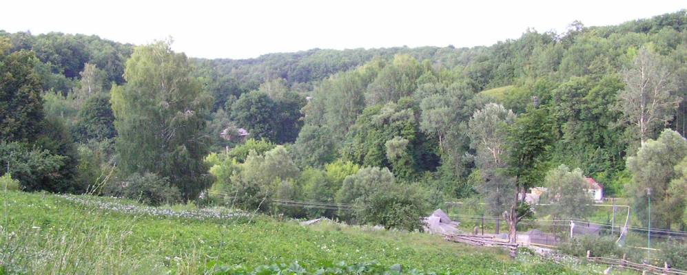 
            Фотография Отруба