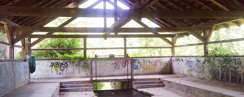 
            Фотография Реининга