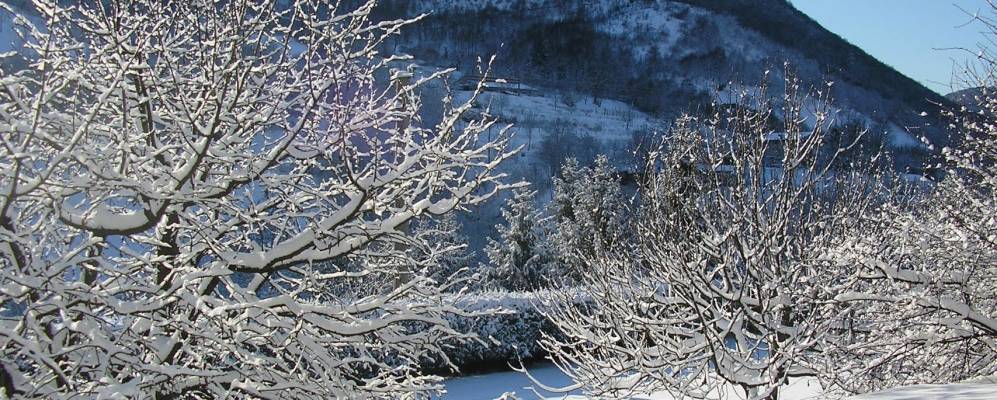 
            Фотография Кайно