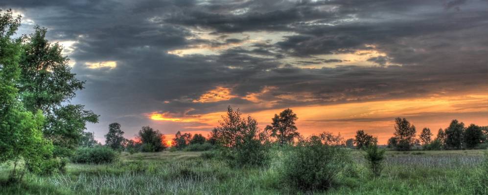 
            Фотография Белики