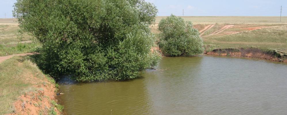 
            Фотография Новоникольского