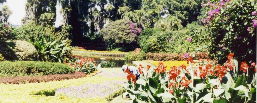 
            Фотография Гипресс Гарденса